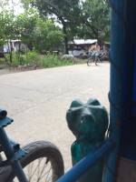 Steet