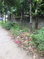 Balamban