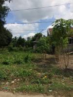 Balamban