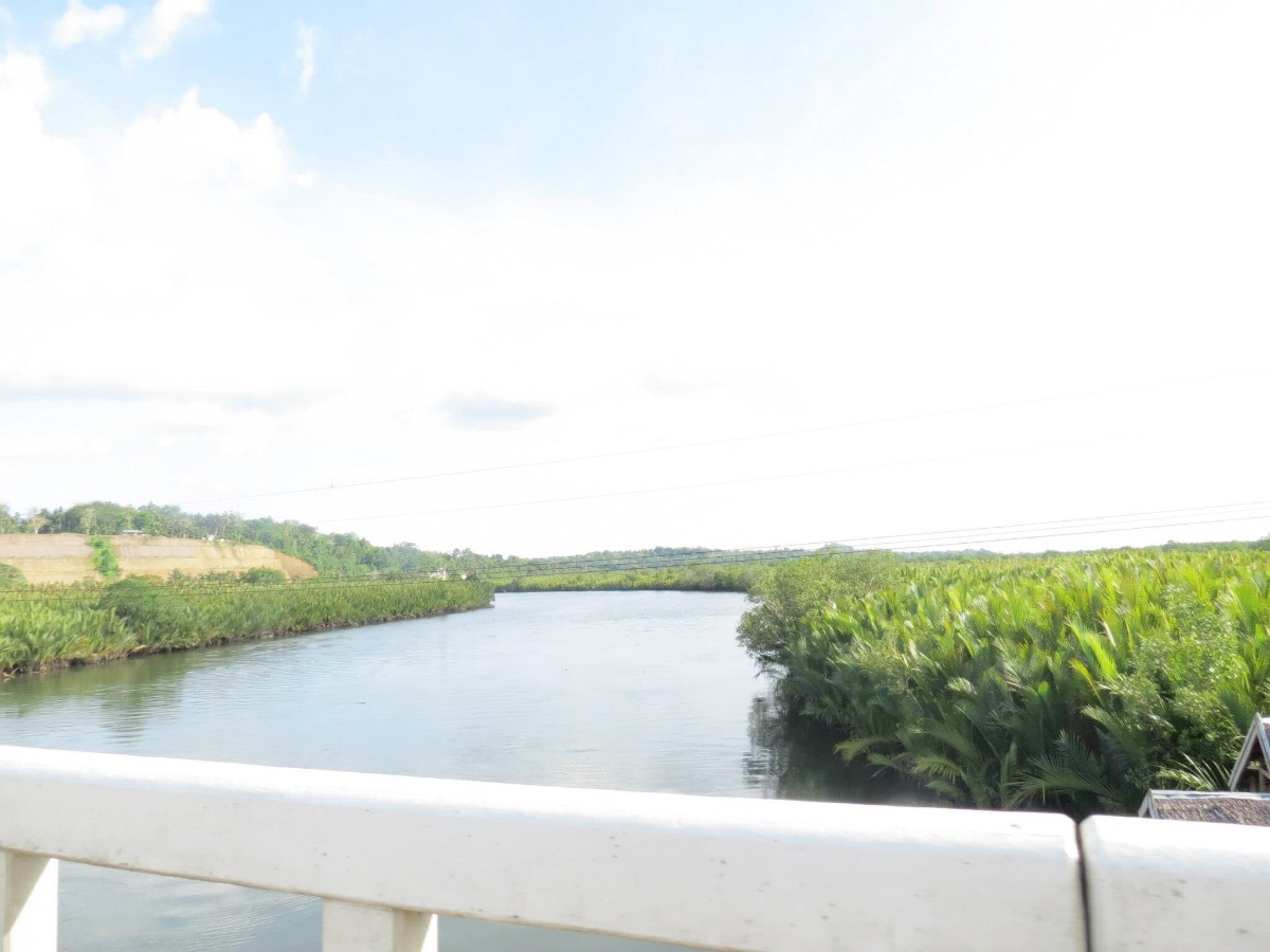 Bohol bridge, bohol