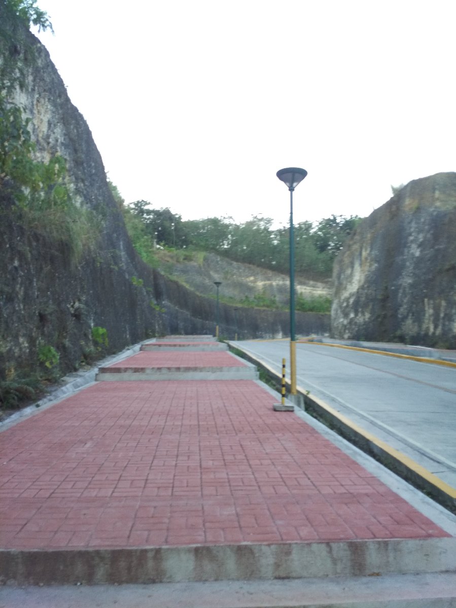 Lone street