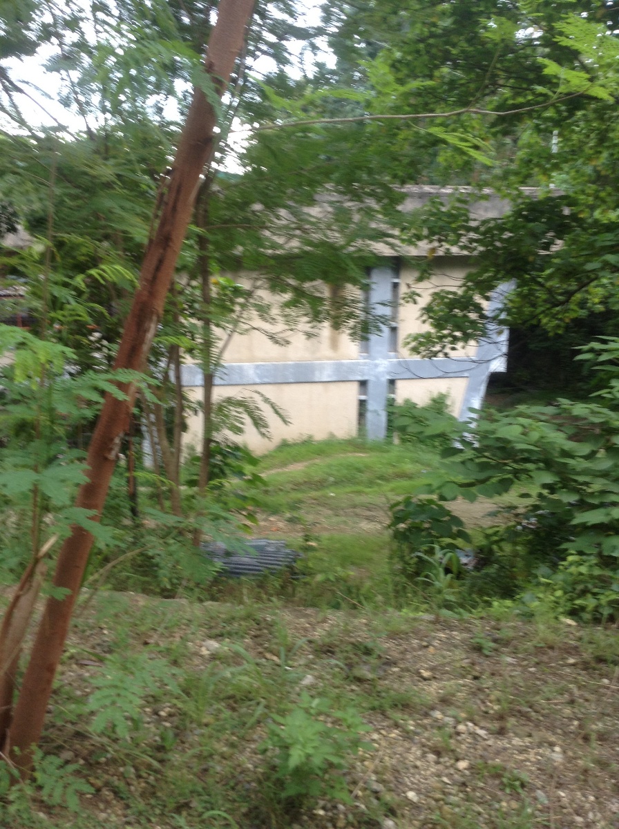 Nature in our school