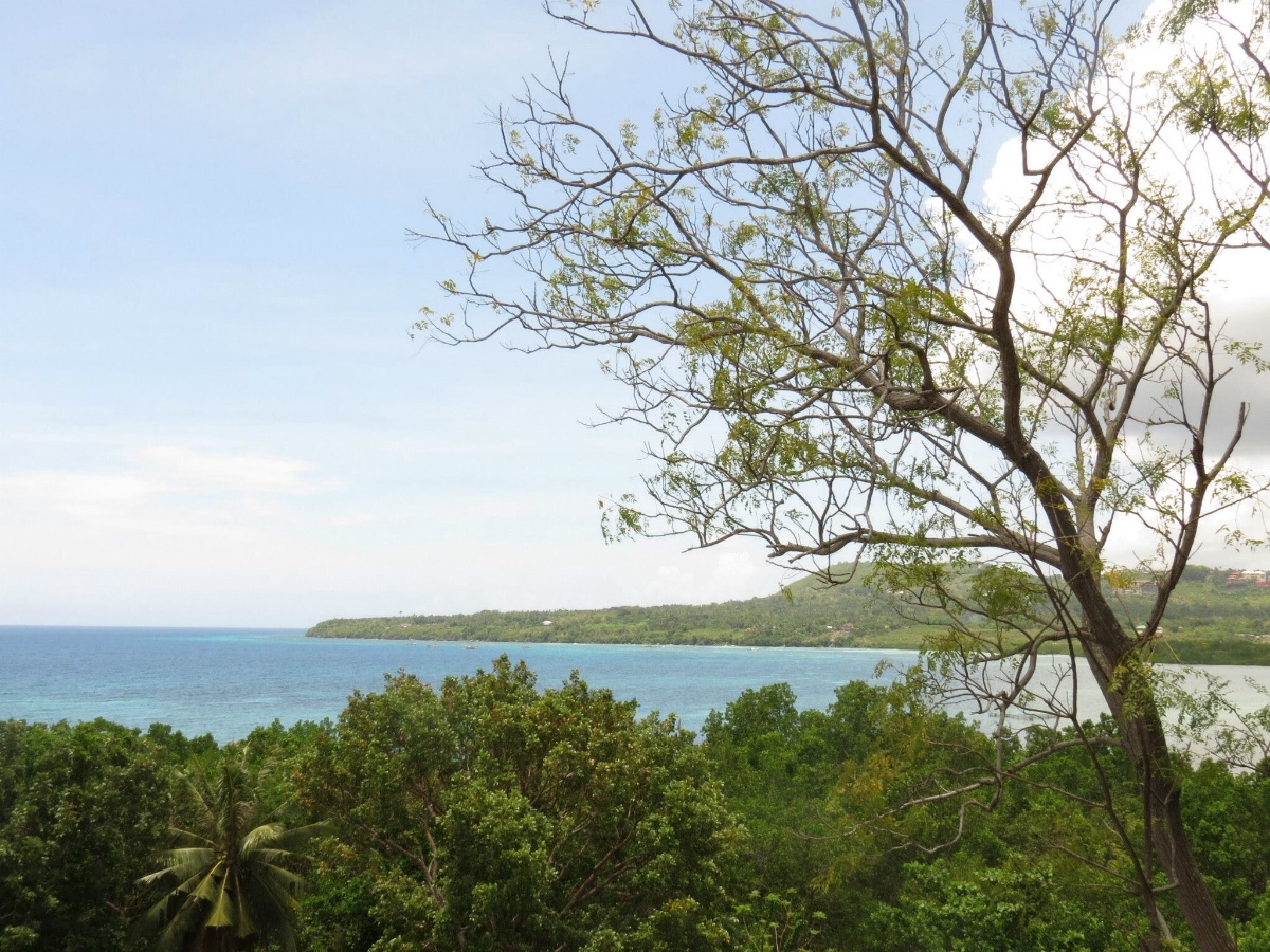 Ocean, sea, bohol, sea view bohol, sea view