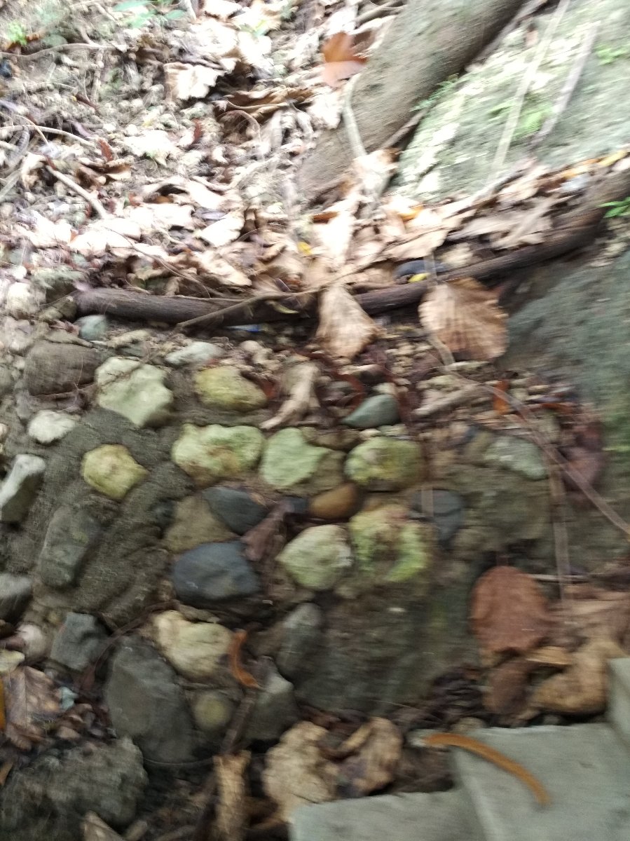 Rock