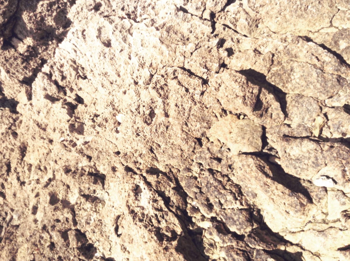 Rock