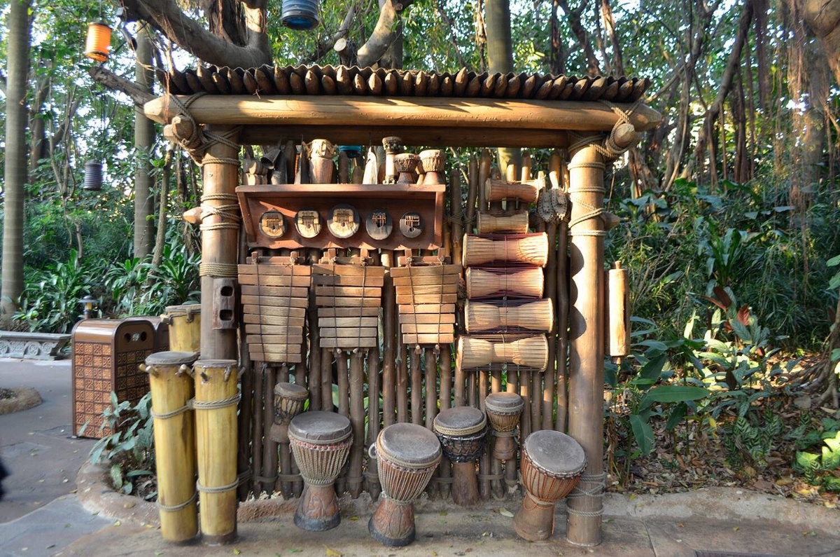 Tribe, drums