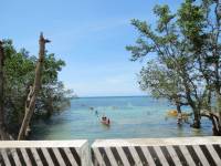 Foreigner, foreigners in bohol, bohol mag aso falls