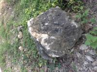 Rock bottom by hailey steinfeild
