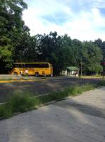 School bus in the school