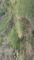 Cliff