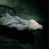 Cave stalactites