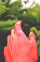Conceptual photography, hope, reaching out, hand reaching for the sky, hand reaching for nature, nature, hand, boke background, boke