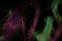 Touch of Neon, macro photo of coloured fibres