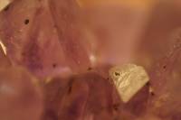 Close up shot of Amethyst crystals from a geode, reversed 50mm lens macro photography
