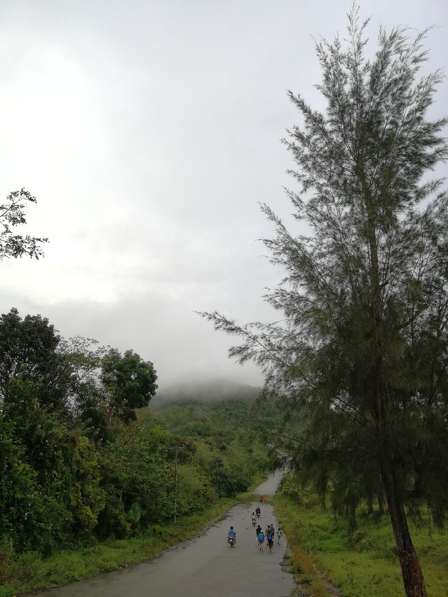 #Environment #Nature #cleanandgreen #trees #life #lovetheenvironment