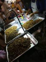 #exoticfood #wheninthailand #streetfood #musttry #silkworm #thaifood