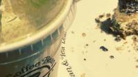Coffee addict,,.