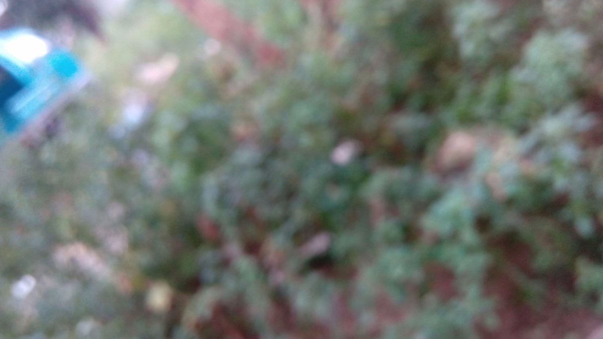 blur