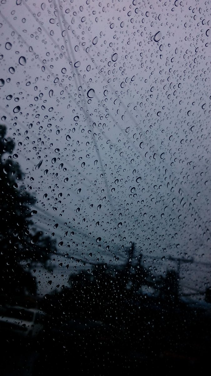 Photo uploaded by mardi296, 201