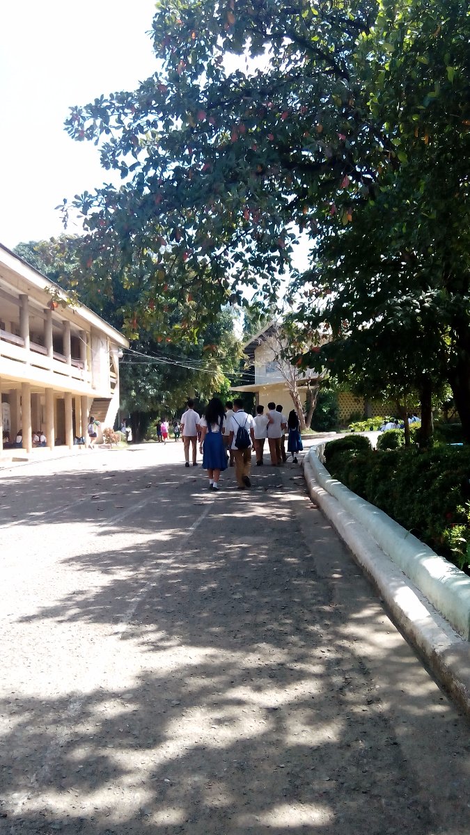 school