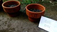 pots