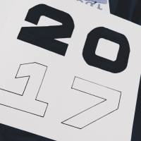 2017, number, white
