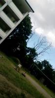 soccer field