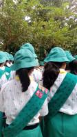 scouts
