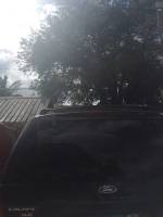 Car, ford