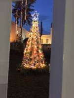 Christmas, tree, Christmas tree, lights