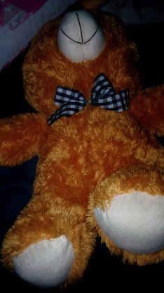bear
