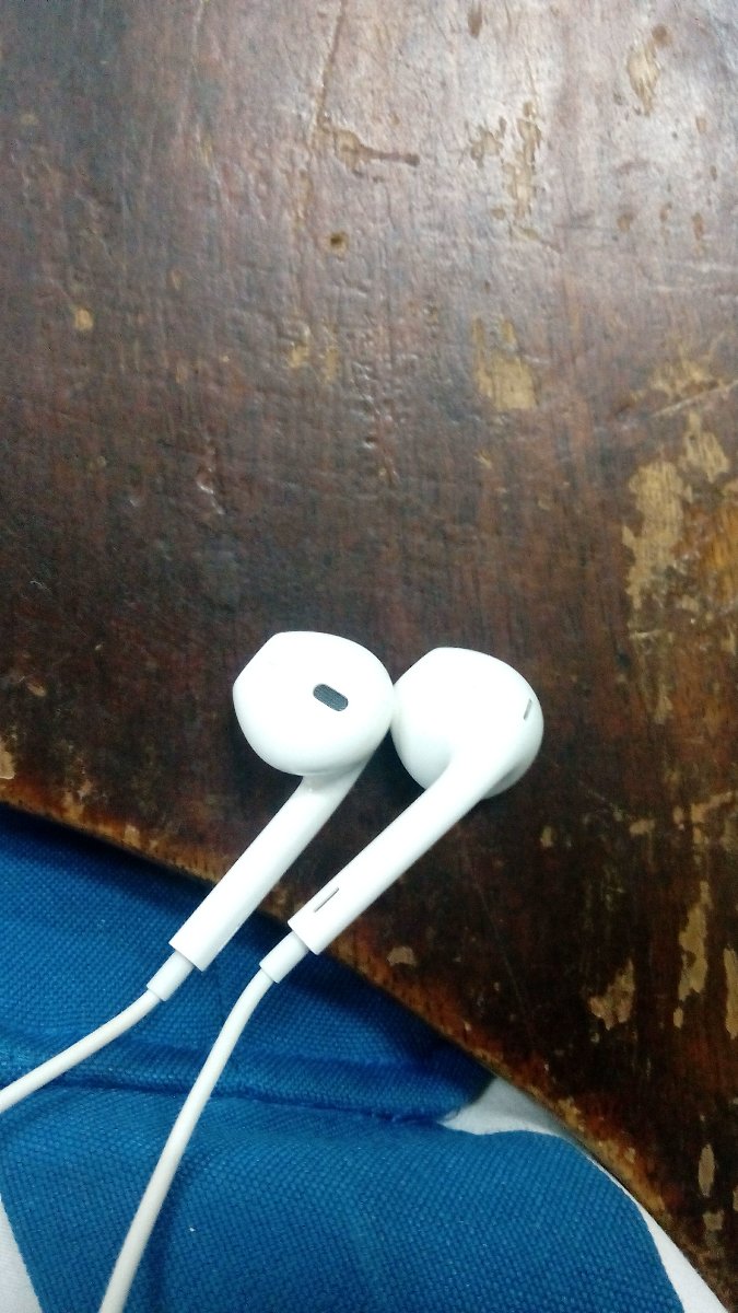 earphones