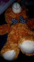 bear