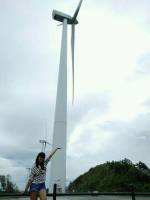 windmill