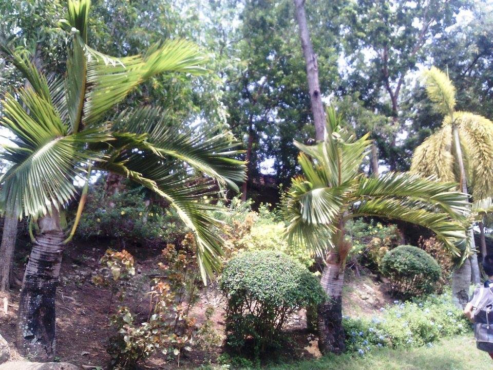 baluarte park 2015, #throwback