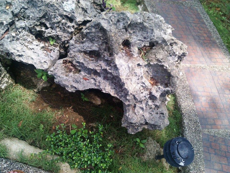 baluarte park 2015, #throwback