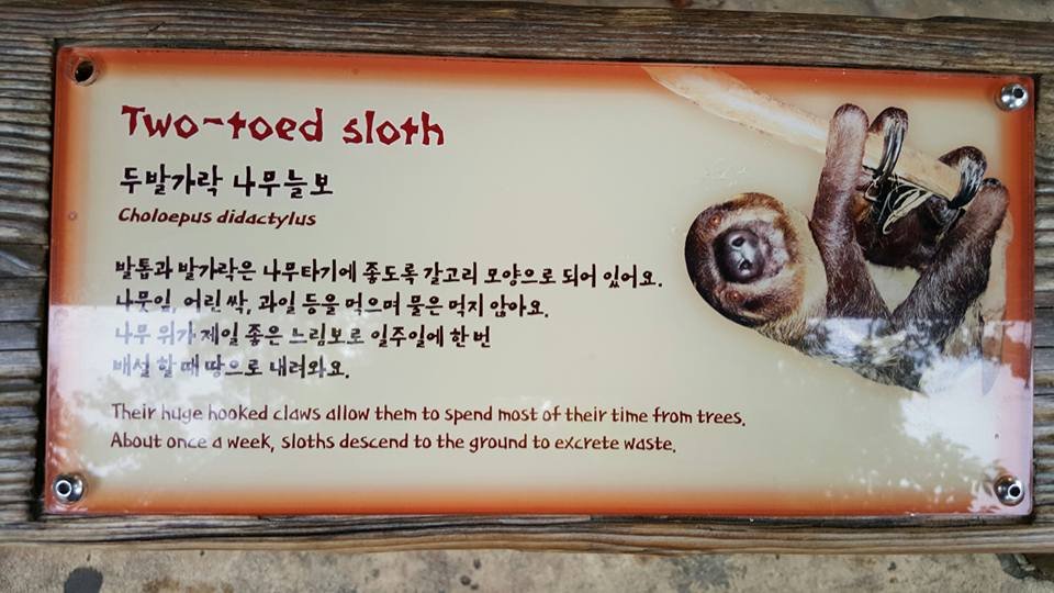 everland korea, south korea, #travel, #trip, #fun, #family, blessed, exploring another world
