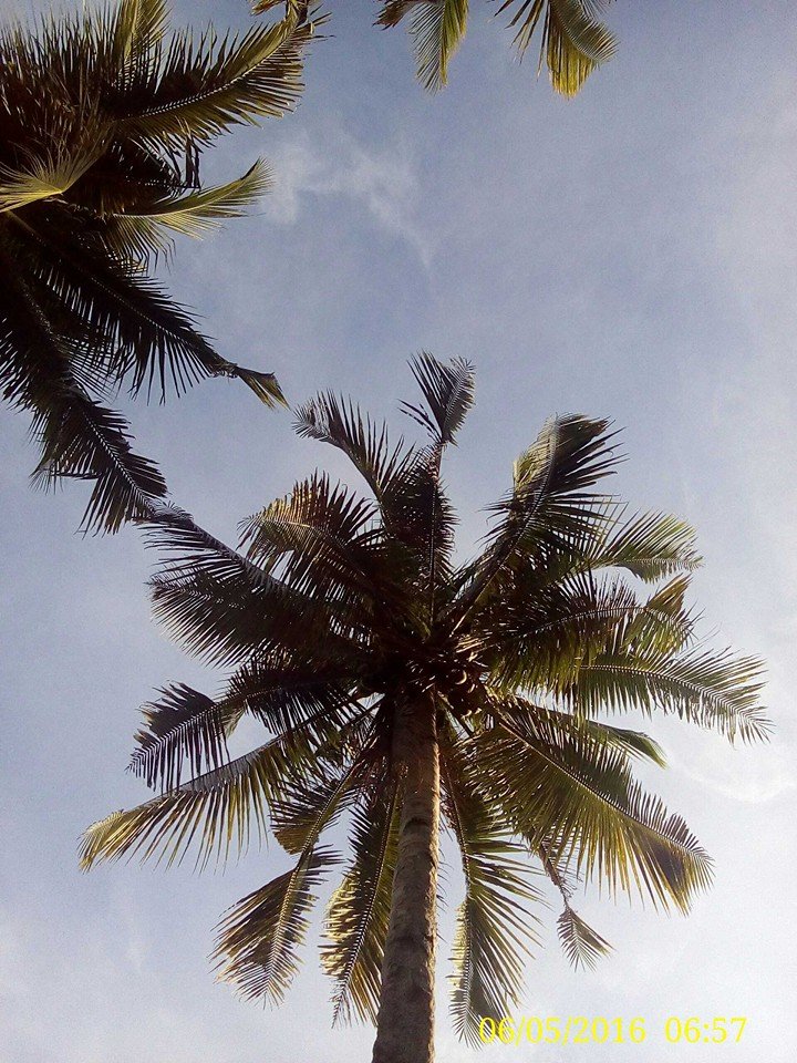 leyte early 2016, #throwback