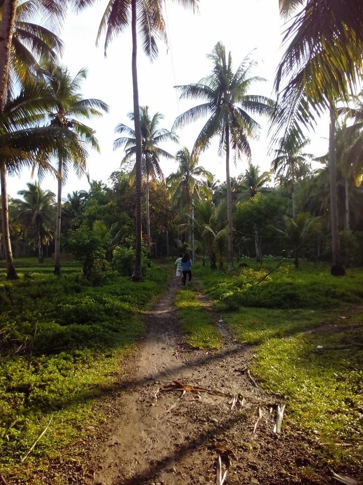 leyte early 2016, #throwback