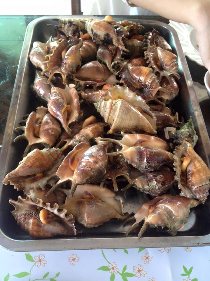seafood madness, #thisiscraycray