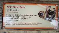 everland korea, south korea, #travel, #trip, #fun, #family, blessed, exploring another world