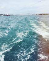 sumilon island, bluewaters sumilon, wooden bridge, #beach, #sea, #ocean, travel, trip, chill, relax, enjoy, adventure