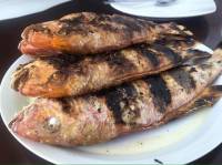 seafood, tasty