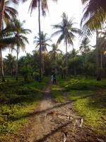 leyte early 2016, #throwback