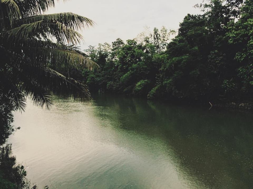 #travel, #greens, riverside