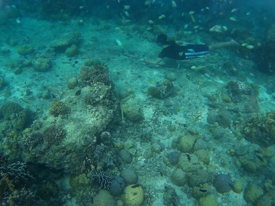 Fish Sanctuary