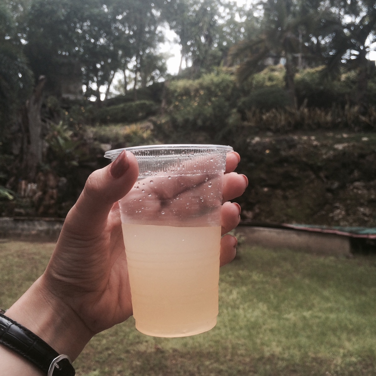 Ginger  Kalamansi Juice