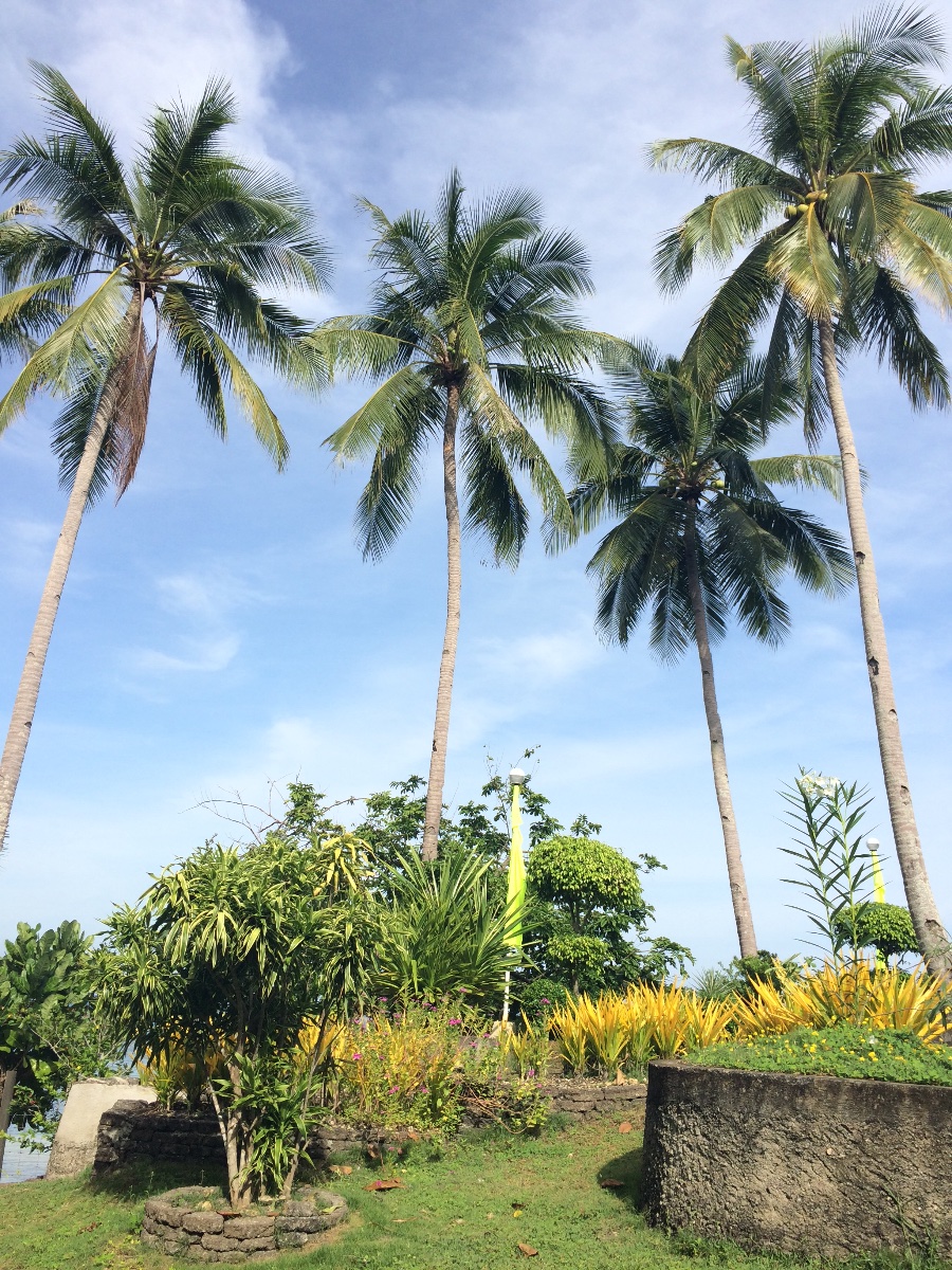 Good morning #freshair #stressfree #refresh #nature
