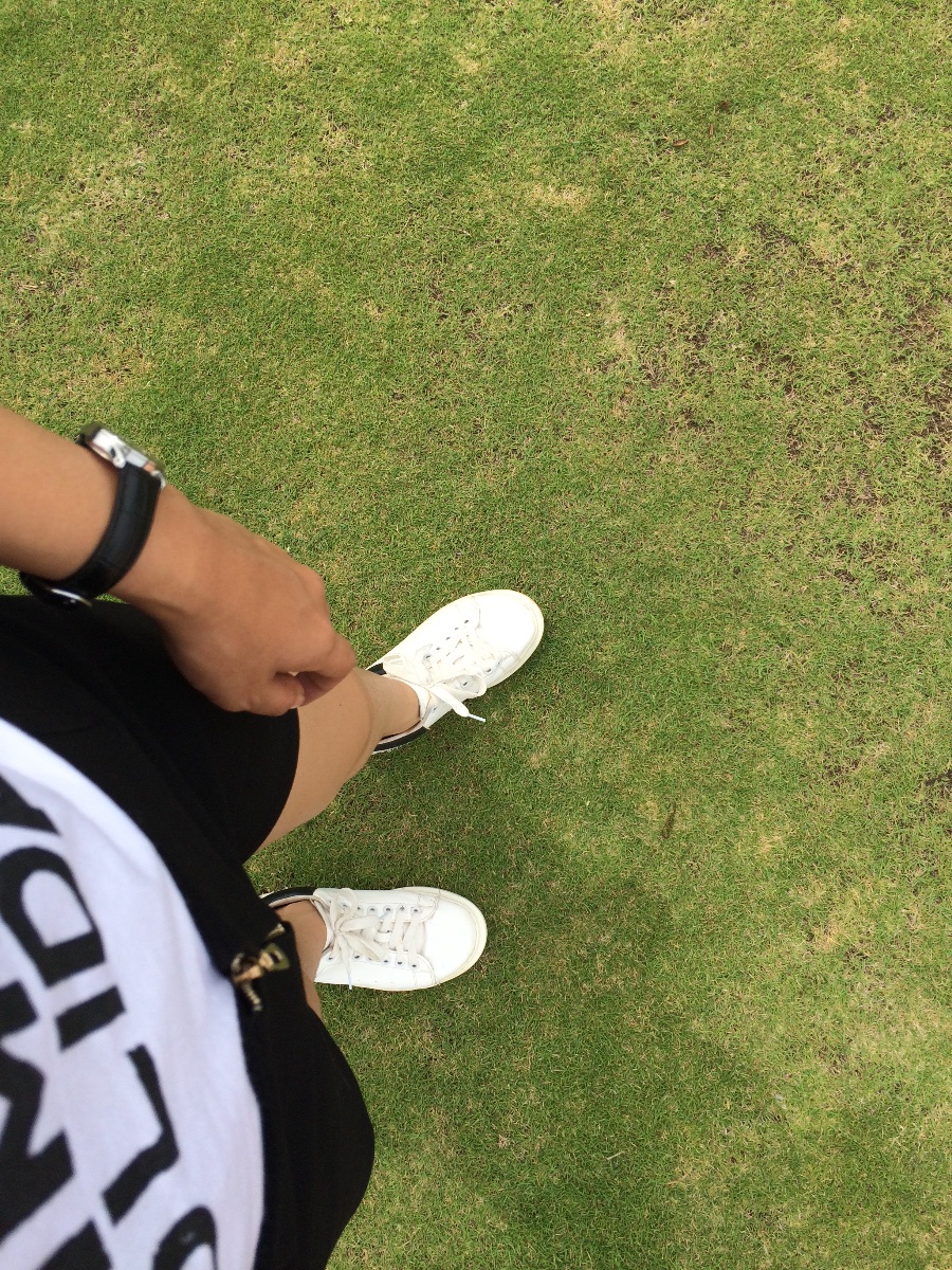 Grass