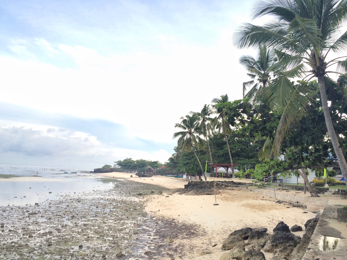 Low tide